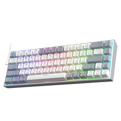 Redragon K631 Gery 65% Wired RGB Gaming Keyboard, 68 Keys Hot-Swappable Compact Mechanical Keyboard