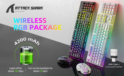 T3 Wireless Gaming Keyboard & Mouse Combo,Full Size RGB Chroma Backlit,Rechargeable 4200mAh USB/Type-C Dual Receiver Silent Mice